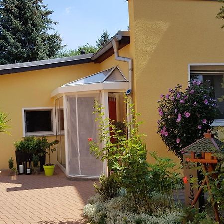 Ferienhaus Koehler Wittenberg Exterior foto
